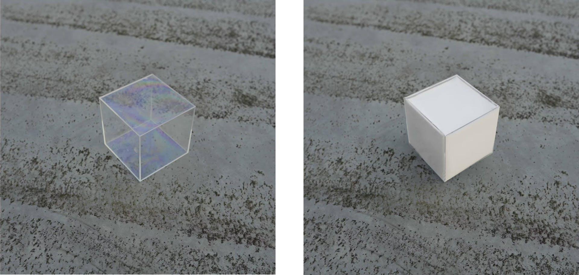 白い水槽~White Aquarium~ - HAMTAMA